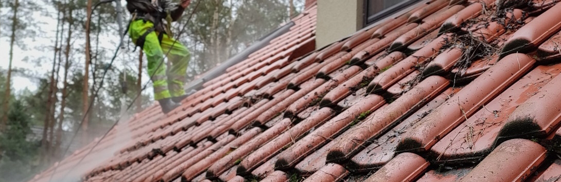 Roof Cleaning: Why It's Essential for Toronto Homes