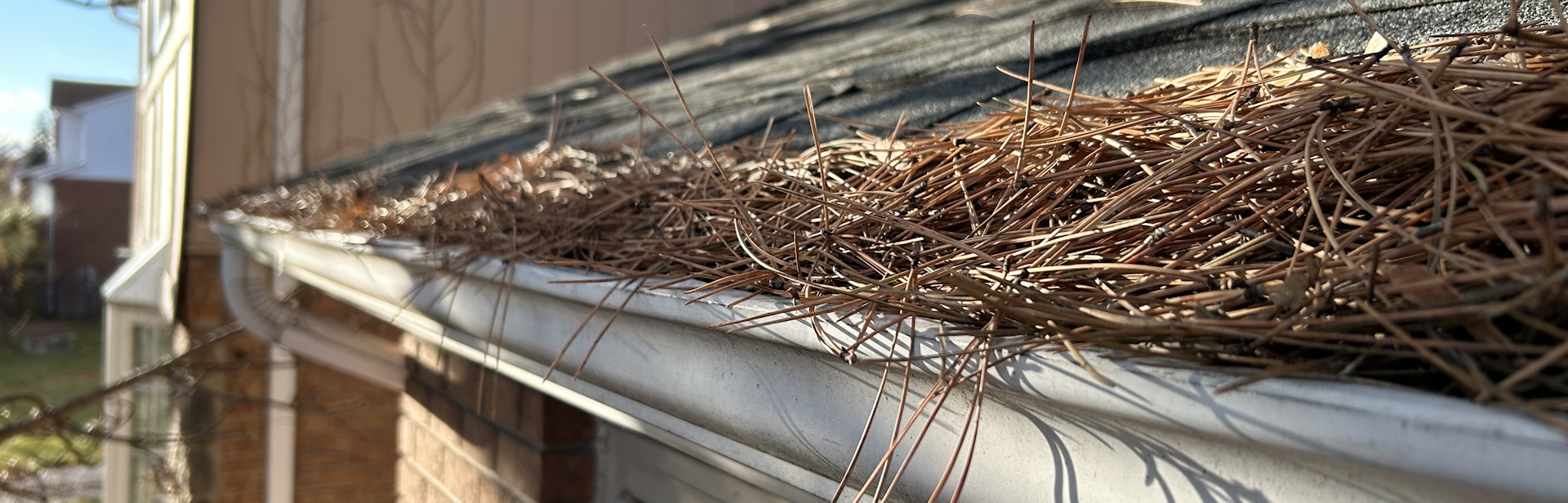 Gutter Cleaning in Toronto